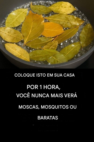 Diga adeus às moscas, mosquitos e baratas fervendo estas folhas.