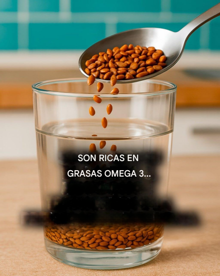 Ácidos grasos omega 3: ¿para qué sirven y dónde encontrarlos?