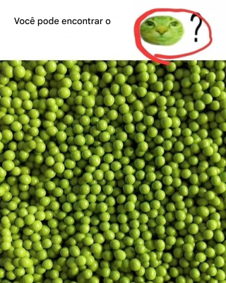 Ilusão de ótica: você acreditaria se disséssemos que há um gato nesta imagem?