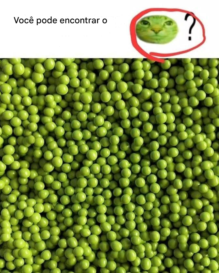 Ilusão de ótica: você acreditaria se disséssemos que há um gato nesta imagem?