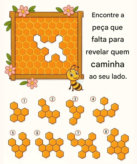 Encontre a peça que falta no favo de mel para revelar quem caminha ao seu lado.