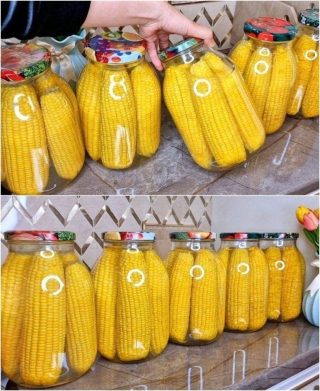 Como comemos milho durante todo o inverno – exatamente como se fosse fresco.