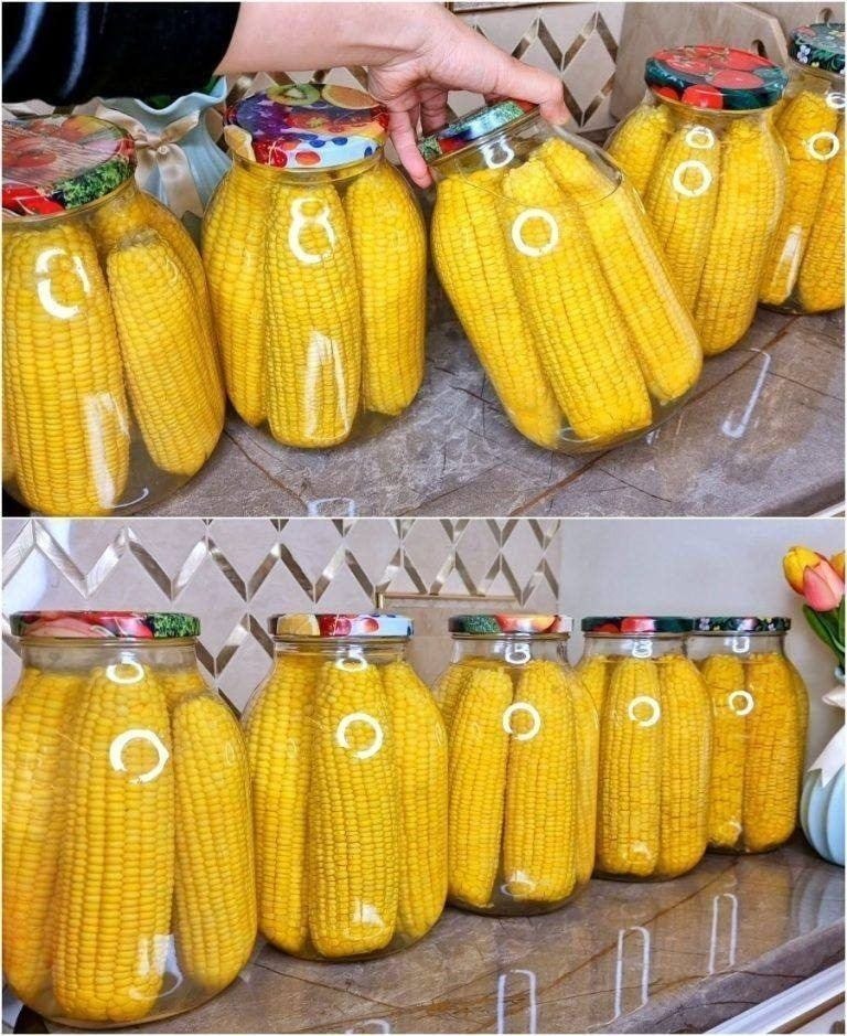 Como comemos milho durante todo o inverno – exatamente como se fosse fresco.