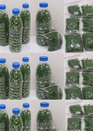 Salsa fresca durante um mês com o método da tigela: como fazem os chefs.