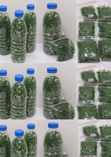 Salsa fresca durante um mês com o método da tigela: como fazem os chefs.