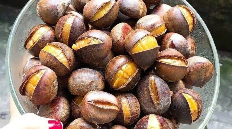 Castanhas cozidas: um lanche fácil, saudável e delicioso