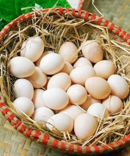 Pare de comer estes 6 tipos de ovos agora mesmo – eles são perigosos para a sua saúde!