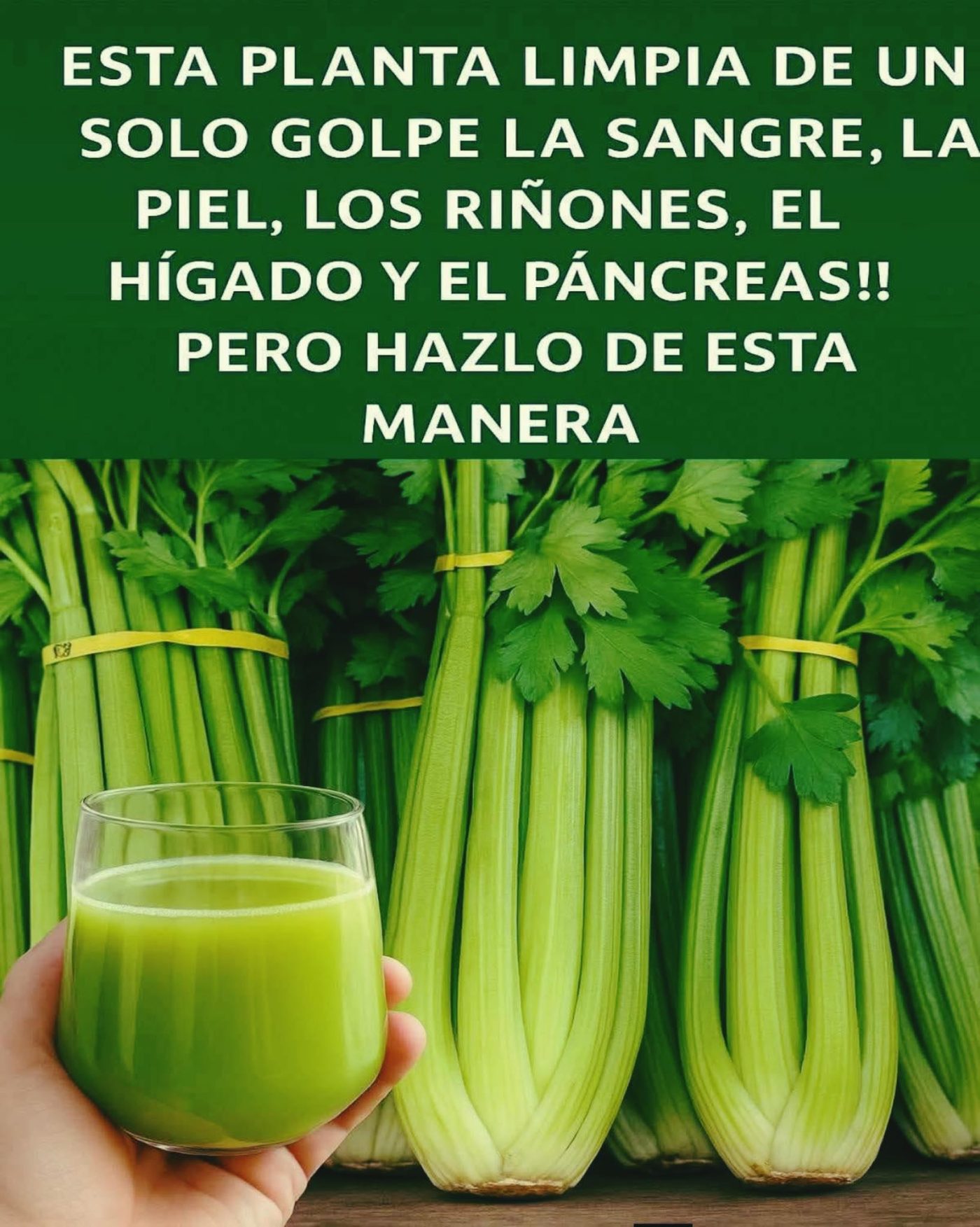 Jugo de Apio en Ayunas: Limpia tu Sangre, Riñones y Hígado de Forma Natural