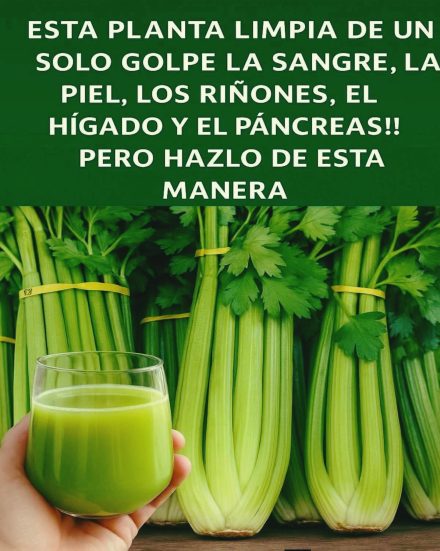 Jugo de Apio en Ayunas: Limpia tu Sangre, Riñones y Hígado de Forma Natural