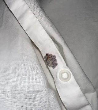 Encontré estas pequeñas canicas en mi cama y casi me da infarto: os voy a contar lo que eran.