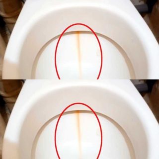 Aplico na escova de vaso sanitário e limpo a privada. O calcário desaparece num instante.