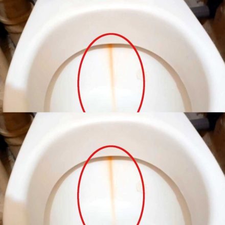 Aplico na escova de vaso sanitário e limpo a privada. O calcário desaparece num instante.