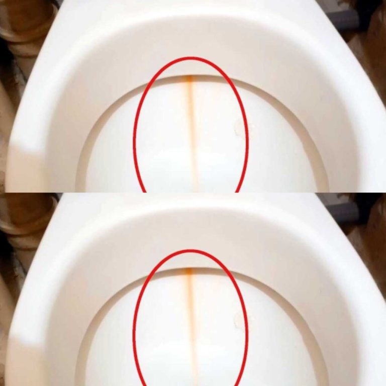 Aplico na escova de vaso sanitário e limpo a privada. O calcário desaparece num instante.