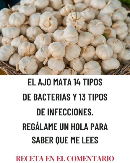 El Ajo Mata 14 Tipos de Bacterias: El Antibiótico Natural que Debes Conocer