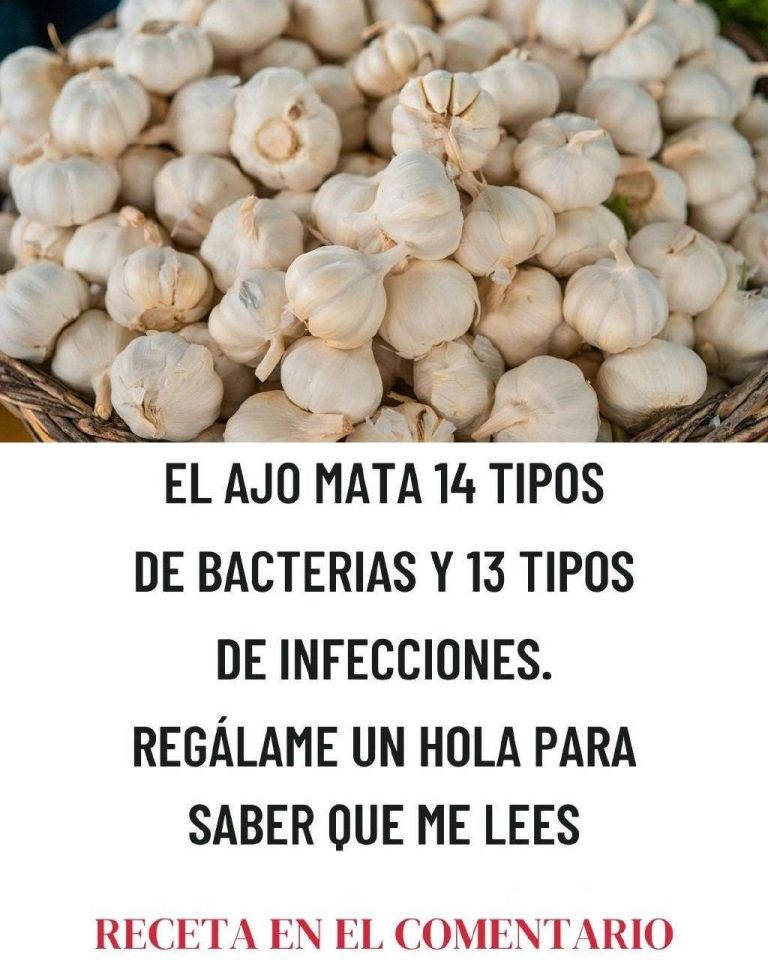El Ajo Mata 14 Tipos de Bacterias: El Antibiótico Natural que Debes Conocer