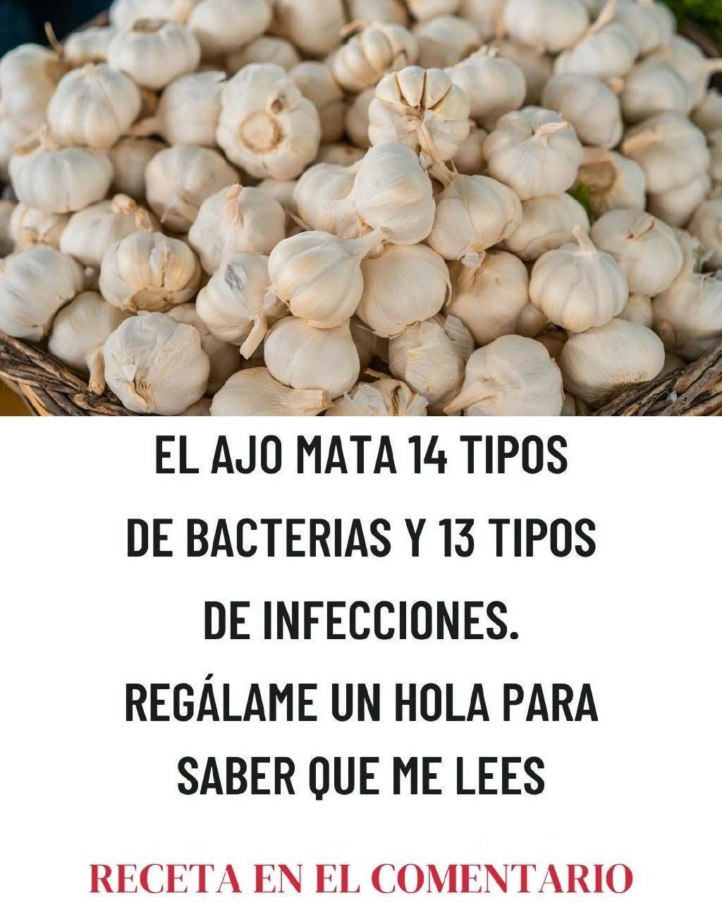 El Ajo Mata 14 Tipos de Bacterias: El Antibiótico Natural que Debes Conocer