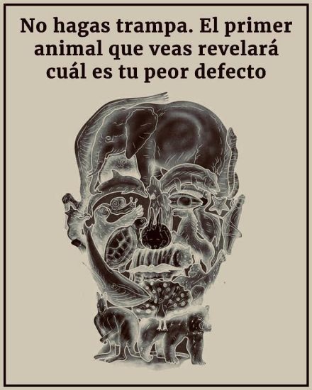 El curioso test visual que promete revelar tu ‘peor defecto’ según el primer animal que veas