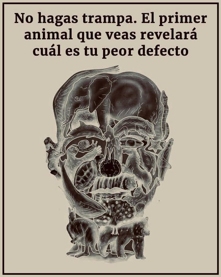El curioso test visual que promete revelar tu ‘peor defecto’ según el primer animal que veas