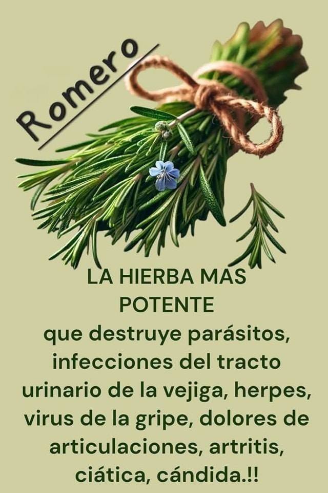 Dile adiós a la celulitis, varices, dolor muscular y articular, con romero.