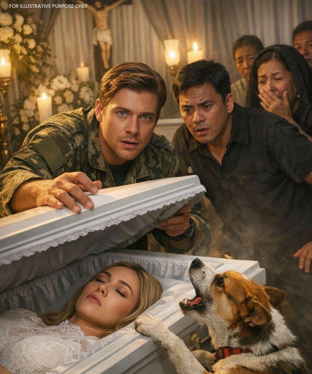 O cachorro não parava de latir para o caixão do seu dono; quando o soldado o abriu, ficou paralisado… sua esposa ainda respirava.