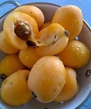 Esta receita simples de geléia caseira transforma frutas do dia a dia em uma iguaria para a vida toda.