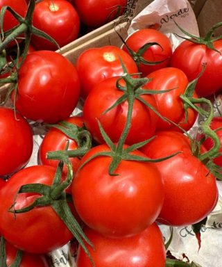 Médicos revelam que comer tomates causa…