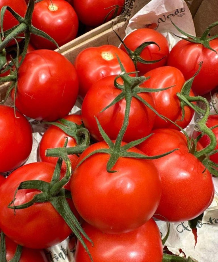 Médicos revelam que comer tomates causa…