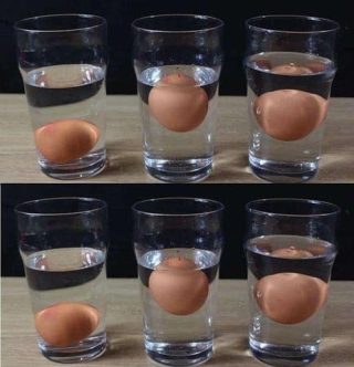 5 formas de saber si un huevo está fresco o podrido: ¡sin necesidad de conjeturas!