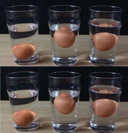 5 formas de saber si un huevo está fresco o podrido: ¡sin necesidad de conjeturas!