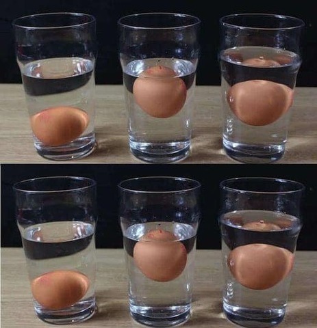 5 formas de saber si un huevo está fresco o podrido: ¡sin necesidad de conjeturas!