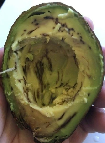 Como saber se um abacate está bom para comer: o guia completo para evitar desperdício (e decepção)