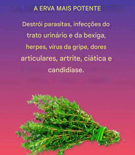 Isso mesmo! 🥰A beterraba é rica em antioxidantes, vitaminas A e C, ferro e