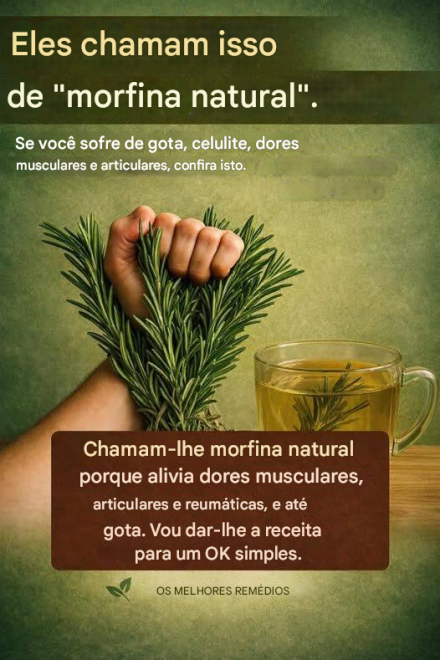 O Poder Curativo do Alecrim: A ‘Morfina Natural’ que Você Deveria Conhecer