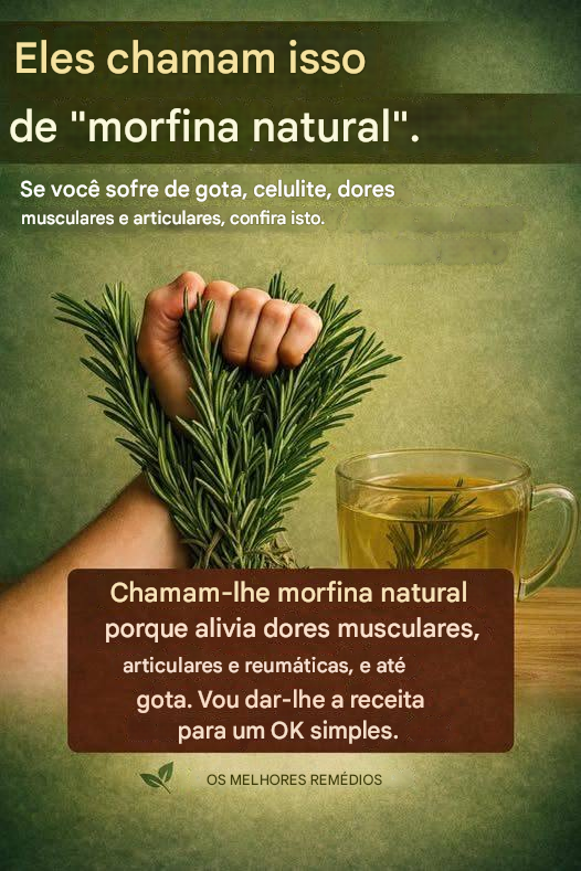 O Poder Curativo do Alecrim: A ‘Morfina Natural’ que Você Deveria Conhecer