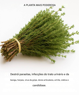 É uma das plantas mais poderosas do mundo.