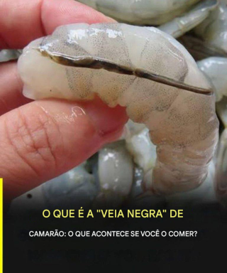 A “veia” do camarão: o detalhe culinário que poucos conhecem e muitos discutem.