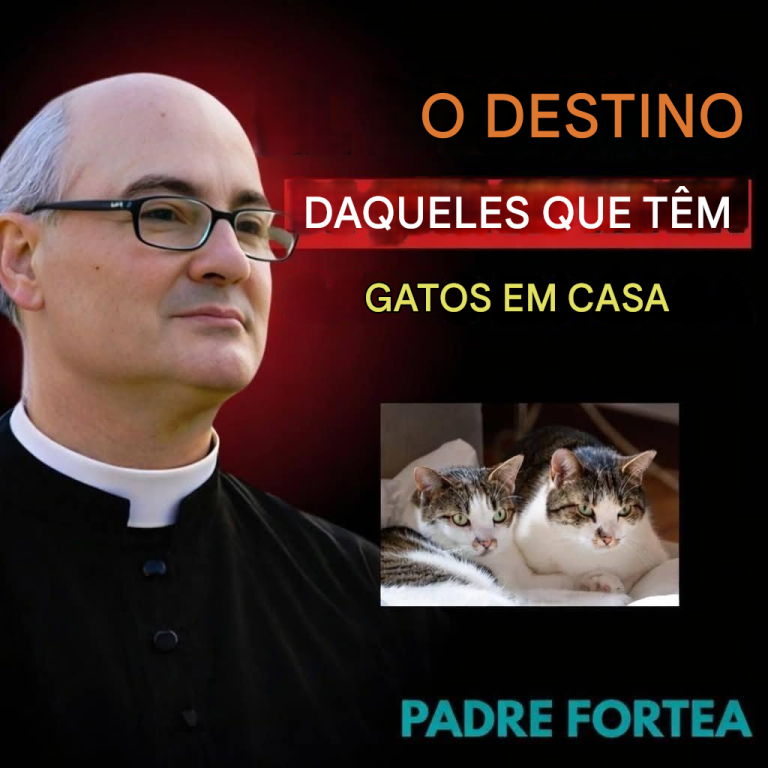Você dorme com seu gato? Essa é a pior doença que você pode contrair sem saber.