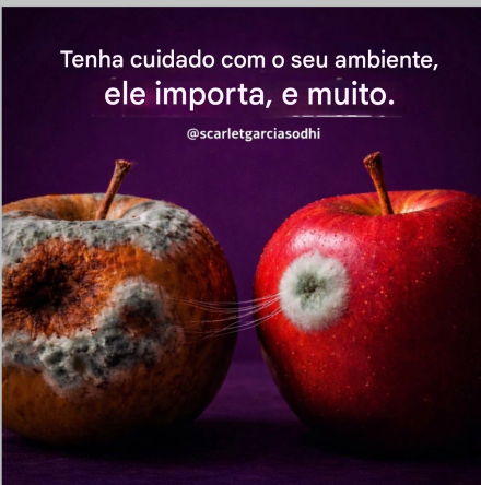 A imagem mostra duas maçãs sobre um fundo roxo.