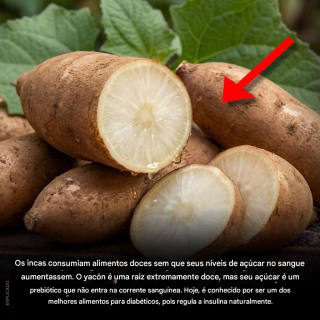 Yacon: o doce prebiótico dos Incas que combate a diabetes…