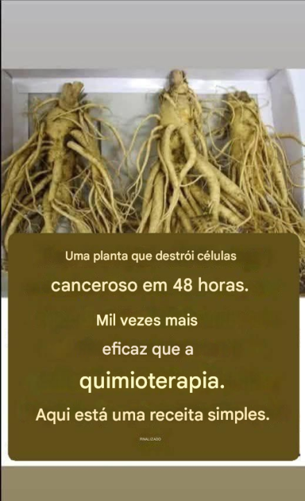 Essa raiz elimina 98% dos cânceres de estômago, intestino, pâncreas e outros tipos de câncer.