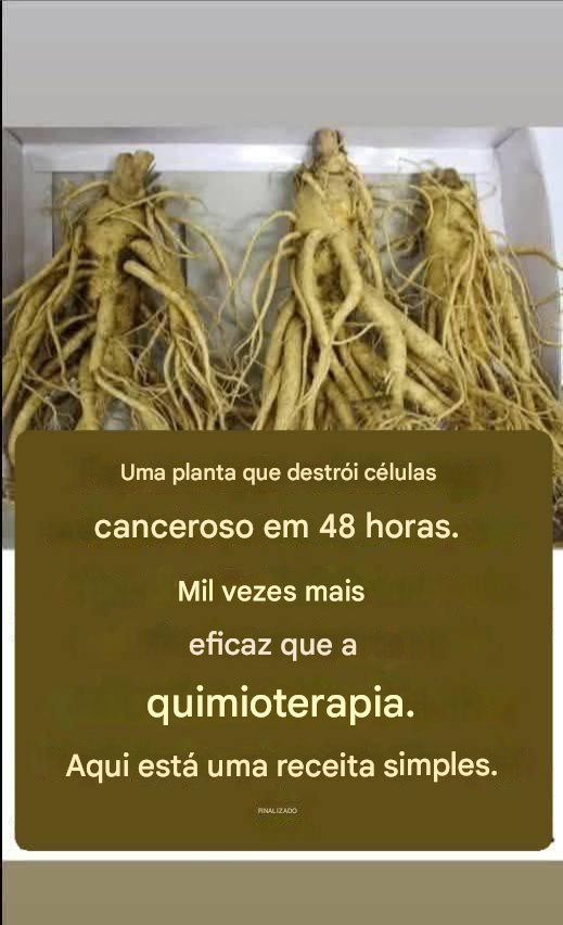 Essa raiz elimina 98% dos cânceres de estômago, intestino, pâncreas e outros tipos de câncer.