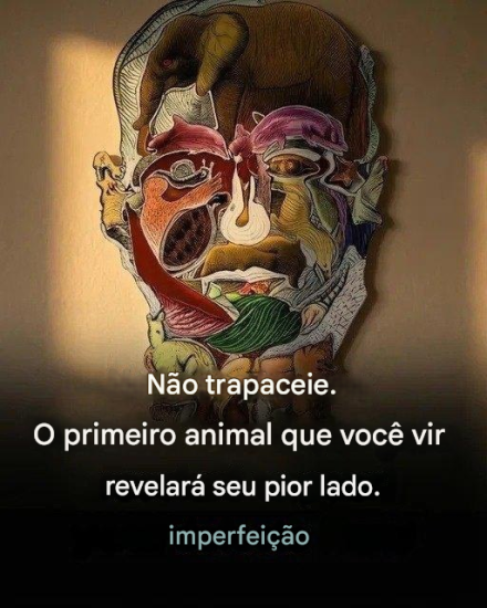 Descubra uma perspectiva mais gentil sobre si mesmo através do primeiro animal que você vir.