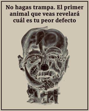El curioso test visual que promete revelar tu ‘peor defecto’ según el primer animal que veas