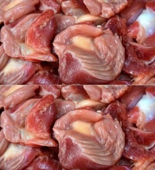 ¿Sabías que si comes mollejas de pollo no tienes que tomar…Ver más.