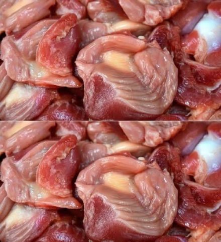 ¿Sabías que si comes mollejas de pollo no tienes que tomar…Ver más.