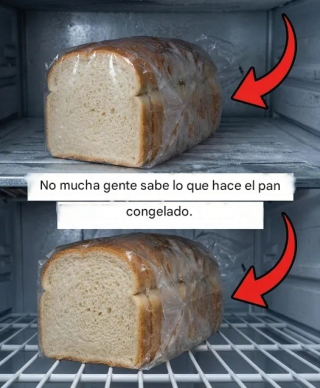 Una guía práctica para congelar correctamente el pan